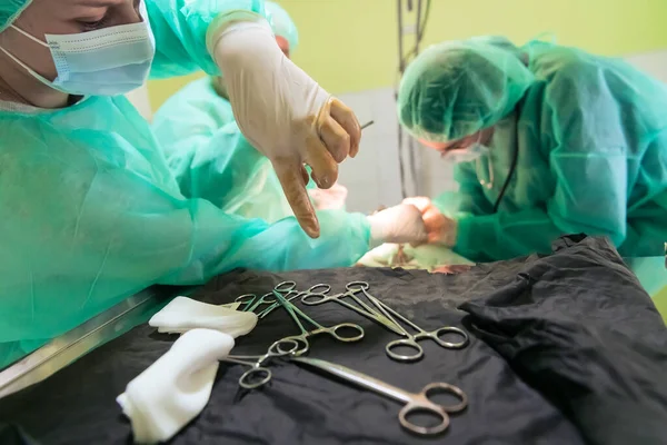 Real Abdominal Surgery Cat Hospital Setting High Quality Photo — Stock Photo, Image