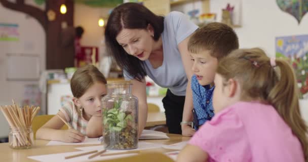 Professora com crianças em aula de biologia no ensino fundamental conduzindo experiências científicas de biologia ou botânica sobre plantas de cultivo sustentáveis. Aprender sobre plantas em um ja de vidro — Vídeo de Stock