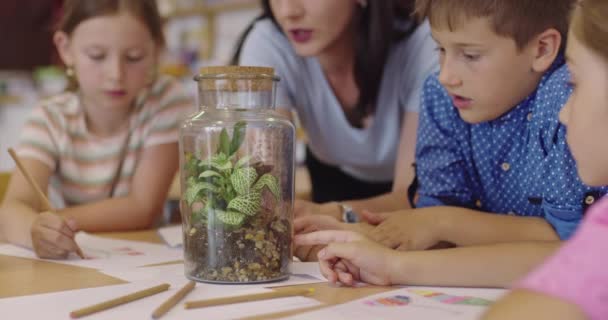 Profesora con niños en clase de biología en la escuela primaria llevando a cabo experimentos biológicos o científicos botánicos sobre plantas de cultivo sostenible. Aprender sobre las plantas en un vaso ja — Vídeo de stock