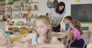 İlkokulda biyoloji sınıfında çocuklu bir bayan öğretmen biyoloji ya da sürdürülebilir bitkilerle ilgili botanik bilimsel deney yapıyor. Bitkileri bir bardakta öğrenmek.