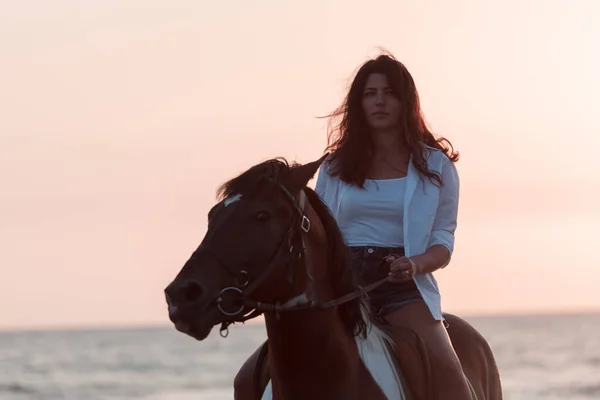 Woman in summer clothes enjoys riding a horse on a beautiful sandy beach at sunset. Selective focus — Stok fotoğraf