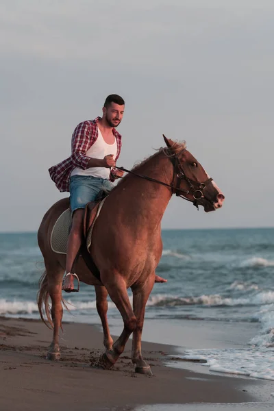 A modern man in summer clothes enjoys riding a horse on a beautiful sandy beach at sunset. Selective focus — Zdjęcie stockowe