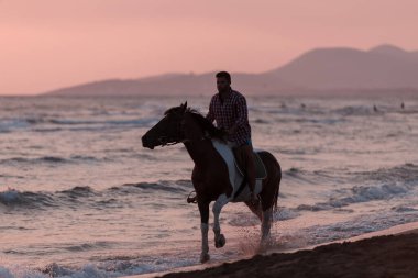 A modern man in summer clothes enjoys riding a horse on a beautiful sandy beach at sunset. Selective focus 