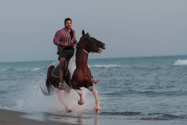 Un hombre moderno en ropa de verano disfruta montar a caballo en una hermosa playa de arena al atardecer. Enfoque selectivo — Foto de Stock