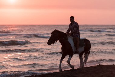 Yaz kıyafetleri içinde modern bir adam gün batımında kumlu güzel bir sahilde ata binmekten hoşlanır. Seçici odak 