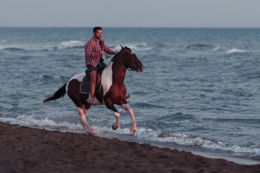 Yaz kıyafetleri içinde modern bir adam gün batımında kumlu güzel bir sahilde ata binmekten hoşlanır. Seçici odak 