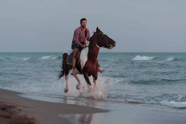 A modern man in summer clothes enjoys riding a horse on a beautiful sandy beach at sunset. Selective focus — Stock Photo, Image
