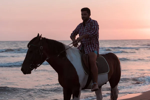 A modern man in summer clothes enjoys riding a horse on a beautiful sandy beach at sunset. Selective focus — Stock Photo, Image