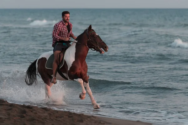 여름옷을 입은 현대인 은해가질 때아름다운 모래사장에서 말을 타는 것을 즐긴다. 선택적 초점 — 스톡 사진