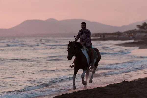 Um homem moderno em roupas de verão gosta de montar um cavalo em uma bela praia de areia ao pôr do sol. Foco seletivo — Fotografia de Stock