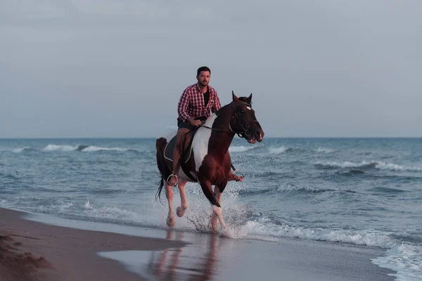 A modern man in summer clothes enjoys riding a horse on a beautiful sandy beach at sunset. Selective focus —  Fotos de Stock