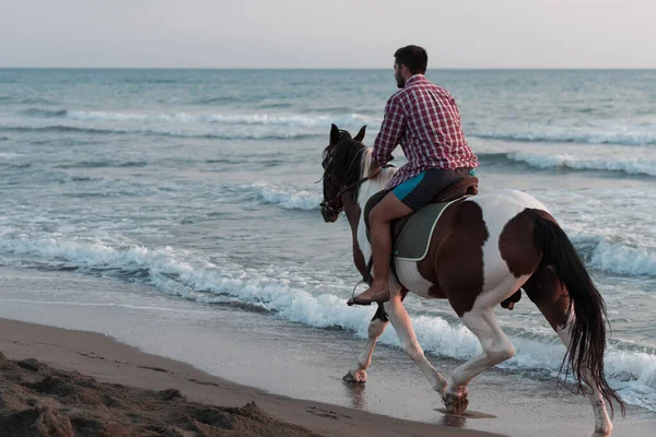 A modern man in summer clothes enjoys riding a horse on a beautiful sandy beach at sunset. Selective focus — Φωτογραφία Αρχείου