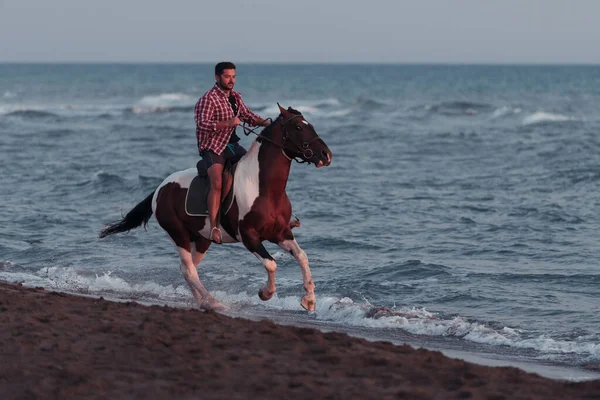 Un hombre moderno en ropa de verano disfruta montar a caballo en una hermosa playa de arena al atardecer. Enfoque selectivo — Foto de Stock