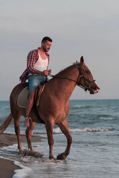 A modern man in summer clothes enjoys riding a horse on a beautiful sandy beach at sunset. Selective focus — Stock fotografie