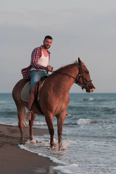 A modern man in summer clothes enjoys riding a horse on a beautiful sandy beach at sunset. Selective focus — Stockfoto
