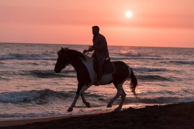 Yaz kıyafetleri içinde modern bir adam gün batımında kumlu güzel bir sahilde ata binmekten hoşlanır. Seçici odak 