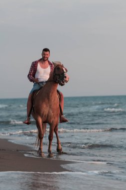 Yaz kıyafetleri içinde modern bir adam gün batımında kumlu güzel bir sahilde ata binmekten hoşlanır. Seçici odak 
