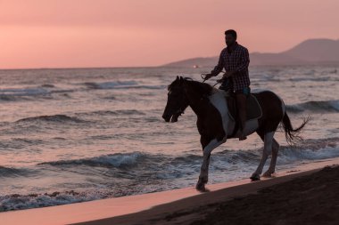 Yaz kıyafetleri içinde modern bir adam gün batımında kumlu güzel bir sahilde ata binmekten hoşlanır. Seçici odak 