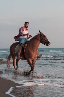 Yaz kıyafetleri içinde modern bir adam gün batımında kumlu güzel bir sahilde ata binmekten hoşlanır. Seçici odak 