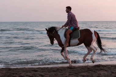 Yaz kıyafetleri içinde modern bir adam gün batımında kumlu güzel bir sahilde ata binmekten hoşlanır. Seçici odak 
