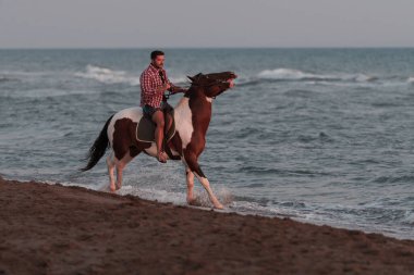 Yaz kıyafetleri içinde modern bir adam gün batımında kumlu güzel bir sahilde ata binmekten hoşlanır. Seçici odak 