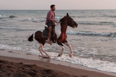 Yaz kıyafetleri içinde modern bir adam gün batımında kumlu güzel bir sahilde ata binmekten hoşlanır. Seçici odak 