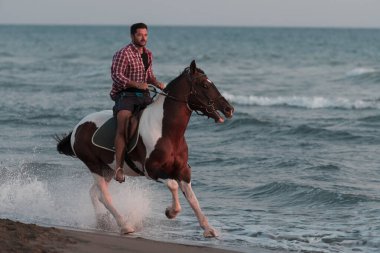 Yaz kıyafetleri içinde modern bir adam gün batımında kumlu güzel bir sahilde ata binmekten hoşlanır. Seçici odak 