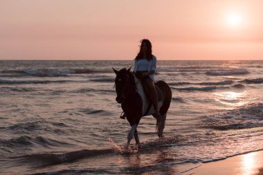 Yaz kıyafetleri içinde bir kadın gün batımında kumlu güzel bir sahilde ata binmekten hoşlanır. Seçici odak 
