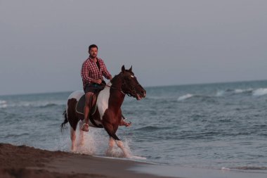 Yaz kıyafetleri içinde modern bir adam gün batımında kumlu güzel bir sahilde ata binmekten hoşlanır. Seçici odak 