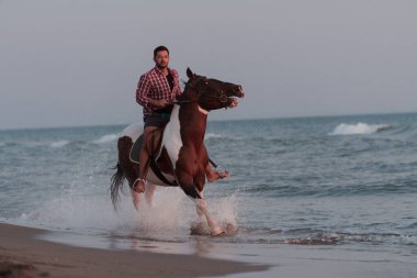 Yaz kıyafetleri içinde modern bir adam gün batımında kumlu güzel bir sahilde ata binmekten hoşlanır. Seçici odak 