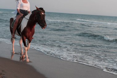 Yaz kıyafetleri içinde bir kadın gün batımında kumlu güzel bir sahilde ata binmekten hoşlanır. Seçici odak 