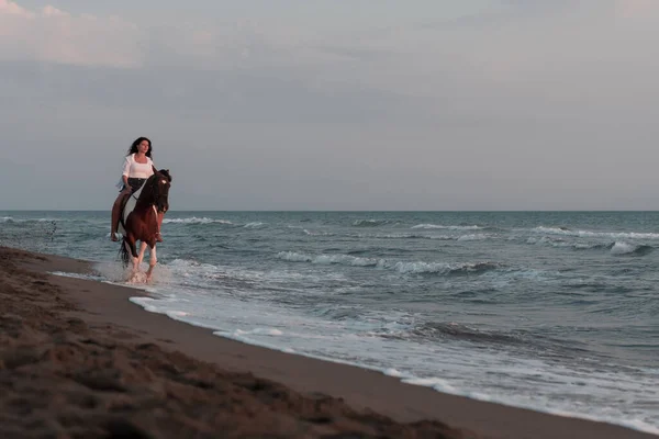 Woman in summer clothes enjoys riding a horse on a beautiful sandy beach at sunset. Selective focus — Stock Fotó
