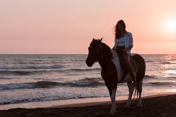 Yaz kıyafetleri içinde bir kadın gün batımında kumlu güzel bir sahilde ata binmekten hoşlanır. Seçici odak 