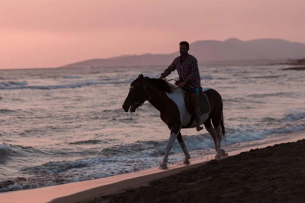 A modern man in summer clothes enjoys riding a horse on a beautiful sandy beach at sunset. Selective focus — Stockfoto