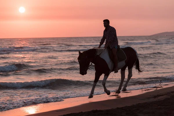 A modern man in summer clothes enjoys riding a horse on a beautiful sandy beach at sunset. Selective focus — Stok fotoğraf