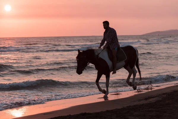Yaz kıyafetleri içinde modern bir adam gün batımında kumlu güzel bir sahilde ata binmekten hoşlanır. Seçici odak 