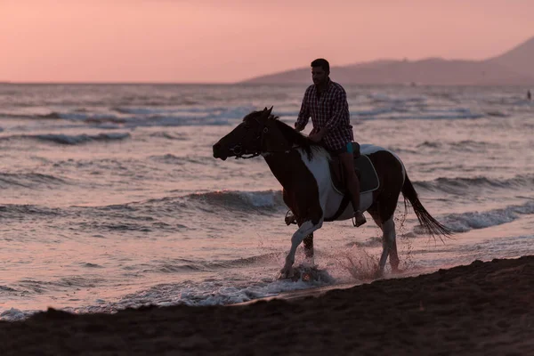 A modern man in summer clothes enjoys riding a horse on a beautiful sandy beach at sunset. Selective focus — Stock fotografie