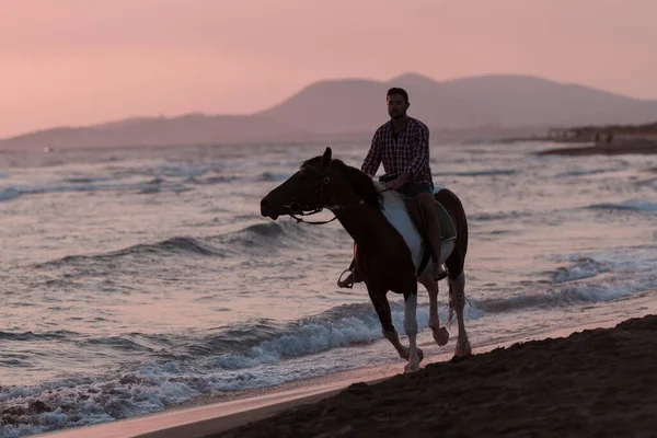 Ein moderner Mann in Sommerkleidung genießt es, bei Sonnenuntergang auf einem Pferd an einem schönen Sandstrand zu reiten. Selektiver Fokus — Stockfoto