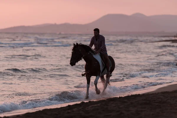 Yaz kıyafetleri içinde modern bir adam gün batımında kumlu güzel bir sahilde ata binmekten hoşlanır. Seçici odak 