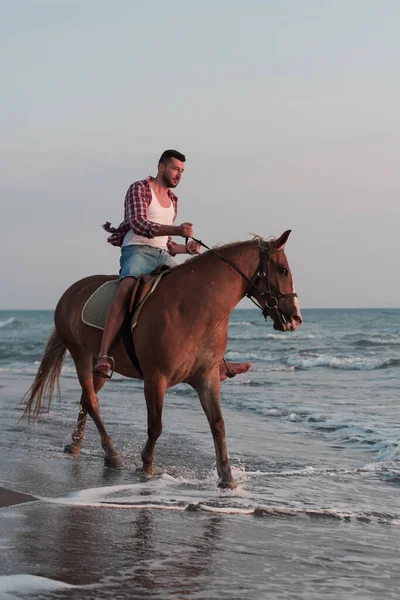 A modern man in summer clothes enjoys riding a horse on a beautiful sandy beach at sunset. Selective focus — 스톡 사진