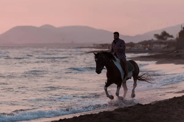 Um homem moderno em roupas de verão gosta de montar um cavalo em uma bela praia de areia ao pôr do sol. Foco seletivo — Fotografia de Stock