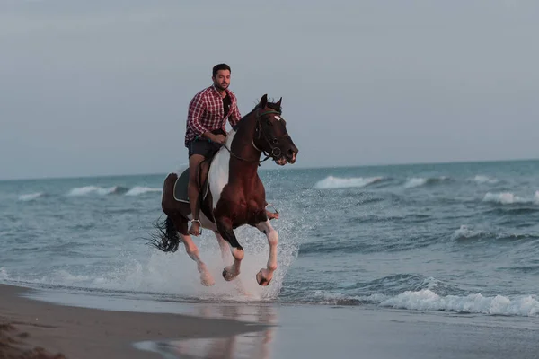 Современный мужчина в летней одежде любит кататься на лошади по прекрасному песчаному пляжу на закате. Селективный фокус — стоковое фото