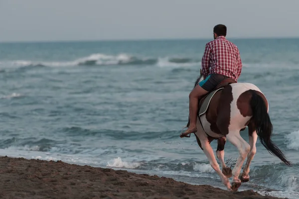 A modern man in summer clothes enjoys riding a horse on a beautiful sandy beach at sunset. Selective focus — 스톡 사진