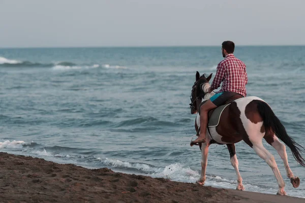 Um homem moderno em roupas de verão gosta de montar um cavalo em uma bela praia de areia ao pôr do sol. Foco seletivo — Fotografia de Stock