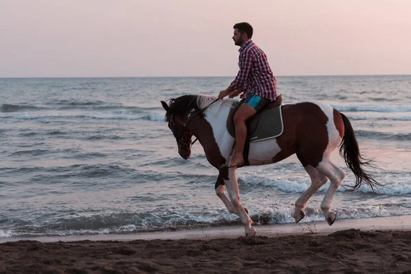 Yaz kıyafetleri içinde modern bir adam gün batımında kumlu güzel bir sahilde ata binmekten hoşlanır. Seçici odak 