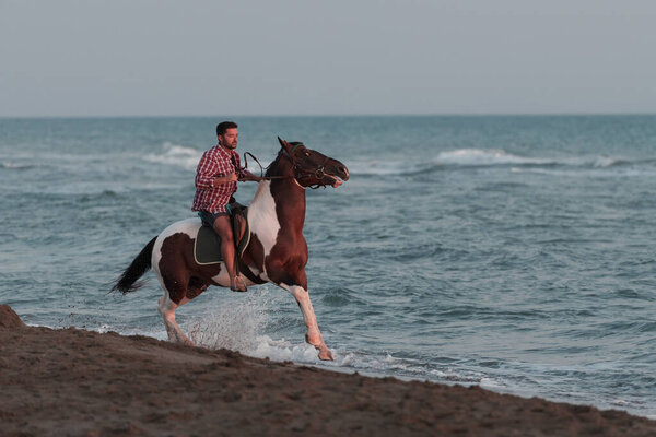 A modern man in summer clothes enjoys riding a horse on a beautiful sandy beach at sunset. Selective focus 
