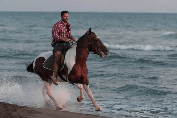 Yaz kıyafetleri içinde modern bir adam gün batımında kumlu güzel bir sahilde ata binmekten hoşlanır. Seçici odak 
