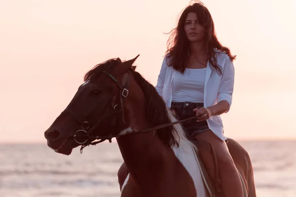 Woman in summer clothes enjoys riding a horse on a beautiful sandy beach at sunset. Selective focus — Stockfoto