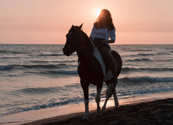 Woman in summer clothes enjoys riding a horse on a beautiful sandy beach at sunset. Selective focus — 스톡 사진