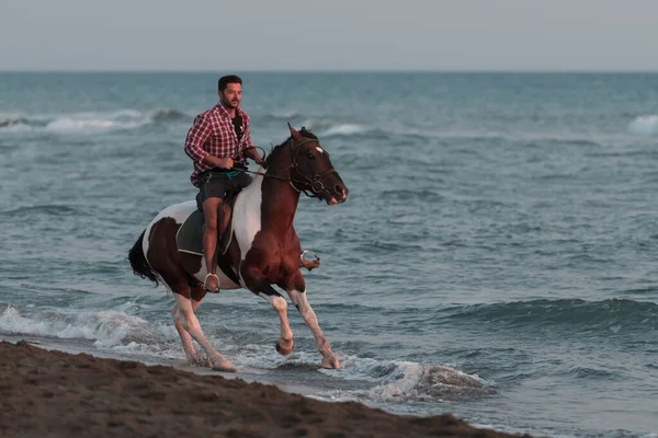 Yaz kıyafetleri içinde modern bir adam gün batımında kumlu güzel bir sahilde ata binmekten hoşlanır. Seçici odak 